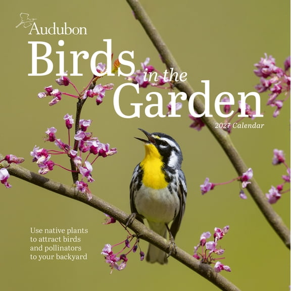 Audubon Birds in the Garden Wall Calendar 2027: Use Native Plants to Attract Birds and Pollinators to Your Backyard, (Paperback)