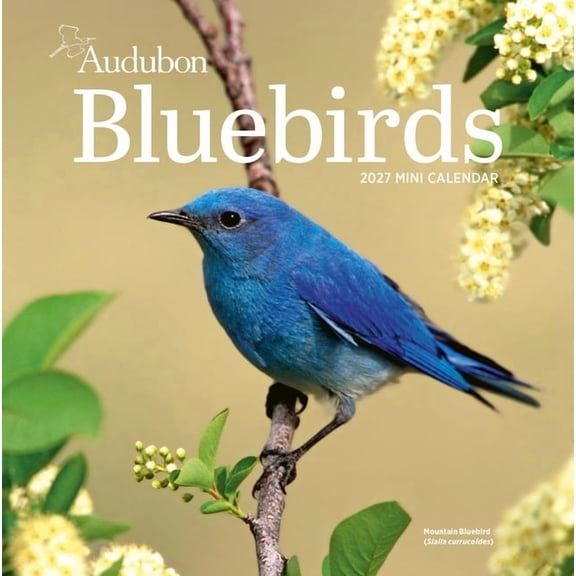 Audubon Bluebirds Mini Wall Calendar 2027, (Paperback)