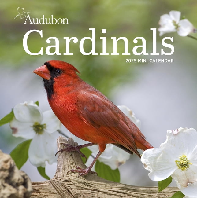 Workman Publishing, Audubon Cardinals 2025 Mini Wall Calendar