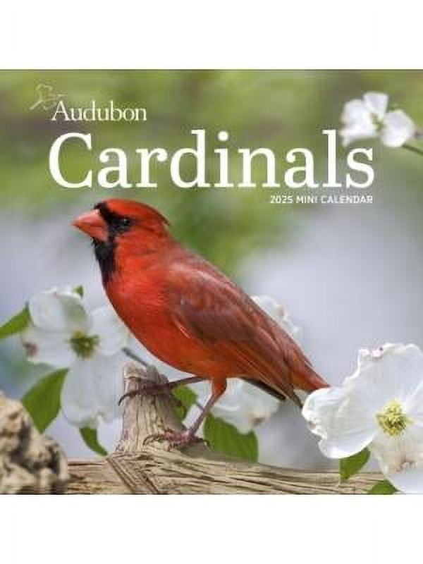 Audubon Cardinals Mini Wall Calendar 2025