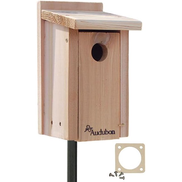 Audubon Cedar Bluebird House with Pole and Hole Protector - Walmart.com