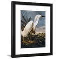 thumbnail image 1 of Audubon: Egret, Animals Framed Art Print Wall Art by John James Audubon Sold by Art.Com, 1 of 6