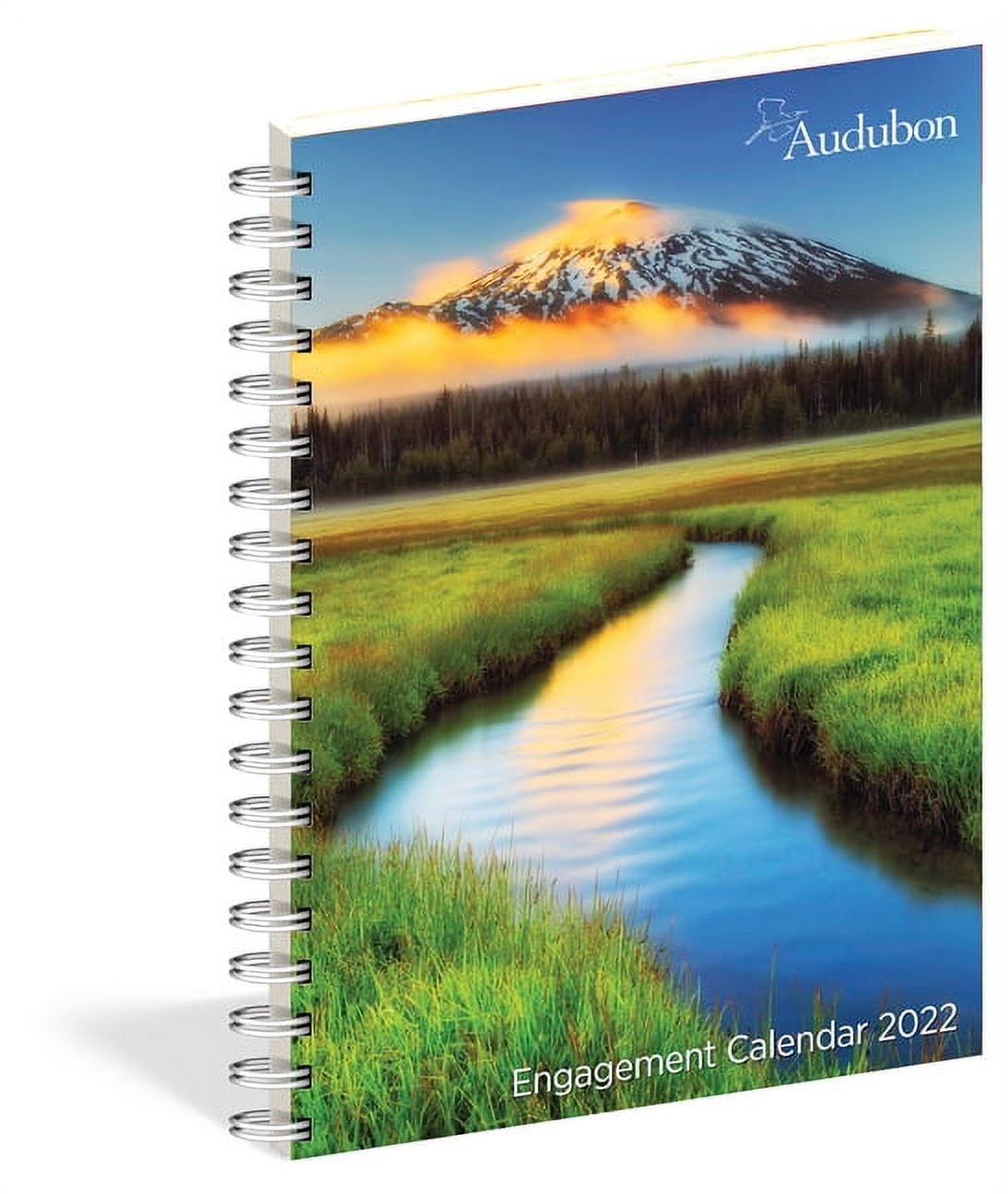 Audubon Engagement Calendar 2022 (Calendar)
