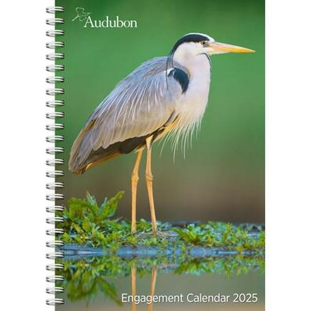 Audubon Nature Calendar 2025 