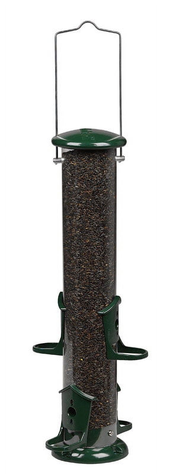 AUDUBON THISTLE FEDR2LB (Pack of 1)