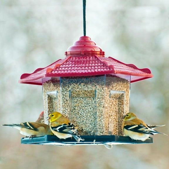 Audubon Gazebo Bird Feeder