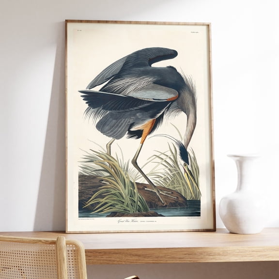 Audubon Great Blue Heron Wildlife Unframed Paper Print