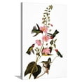 thumbnail image 1 of Art.com Audubon: Hummingbird Stretched Canvas Print Wall Art by John James Audubon, 24" x 36", 1 of 4