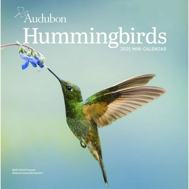 Audubon Wall Calendar 2025