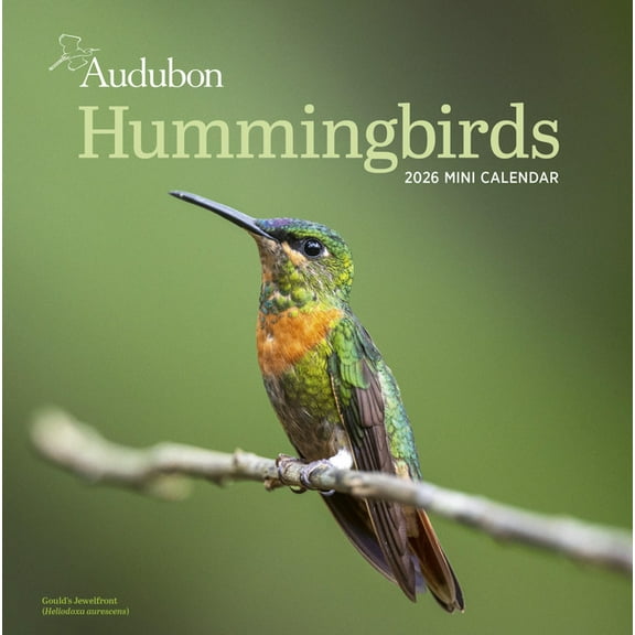 Audubon Hummingbirds Mini Wall Calendar 2026, (Paperback)