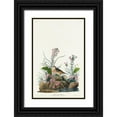 thumbnail image 1 of Audubon, John James 10x14 Black Ornate Wood Framed with Double Matting Museum Art Print Titled - Yellow-winged Sparrow, 1 of 4