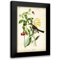 Audubon, John James 11x14 Black Modern Framed Museum Art Print Titled - Audubon Bird and Botanical II