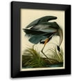 thumbnail image 1 of Audubon, John James 11x14 Black Modern Framed Museum Art Print Titled - The Great Blue Heron, 1 of 5