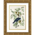 thumbnail image 1 of Audubon, John James 11x14 Gold Ornate Wood Framed with Double Matting Museum Art Print Titled - American Crow, 1 of 4