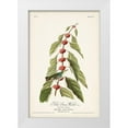 thumbnail image 1 of Audubon, John James 11x14 White Modern Wood Framed Museum Art Print Titled - Pl. 49 Blue- Green Warbler, 1 of 4