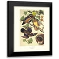 thumbnail image 1 of Audubon, John James 12x14 Black Modern Framed Museum Art Print Titled - Summer Or Wood Duck (decorative border), 1 of 5