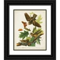 thumbnail image 1 of Audubon, John James 12x14 Black Ornate Wood Framed with Double Matting Museum Art Print Titled - Pl 82 Whip-poor Will, 1 of 4