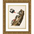 thumbnail image 1 of Audubon, John James 12x14 Gold Ornate Wood Framed with Double Matting Museum Art Print Titled - Pl. 27 Red-headed Woodpecker, 1 of 4