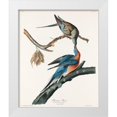 thumbnail image 1 of Audubon, John James 12x14 White Modern Wood Framed Museum Art Print Titled - Passenger Pigeon, 1 of 4