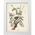 thumbnail image 1 of Audubon, John James 12x14 White Modern Wood Framed Museum Art Print Titled - Pl. 112 Downy Woodpecker, 1 of 4