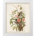 thumbnail image 1 of Audubon, John James 12x14 White Modern Wood Framed Museum Art Print Titled - Pl 93 Seaside Finch, 1 of 4
