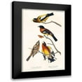 thumbnail image 1 of Audubon, John James 13x18 Black Modern Framed Museum Art Print Titled - Evening Grosbeak and Spotted Grosbeak, 1 of 5