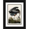 thumbnail image 1 of Audubon, John James 13x18 Black Ornate Wood Framed with Double Matting Museum Art Print Titled - Great Blue Heron, 1 of 4