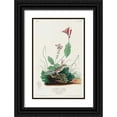 thumbnail image 1 of Audubon, John James 13x18 Black Ornate Wood Framed with Double Matting Museum Art Print Titled - Henslows Bunting, 1 of 4