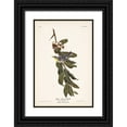 thumbnail image 1 of Audubon, John James 13x18 Black Ornate Wood Framed with Double Matting Museum Art Print Titled - Pl. 85 Yellow-throated Warbler, 1 of 4
