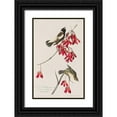 thumbnail image 1 of Audubon, John James 13x18 Black Ornate Wood Framed with Double Matting Museum Art Print Titled - Rice Bird, 1 of 4