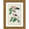 thumbnail image 1 of Audubon, John James 13x18 Gold Ornate Wood Framed with Double Matting Museum Art Print Titled - Bachmans Finch, 1 of 4