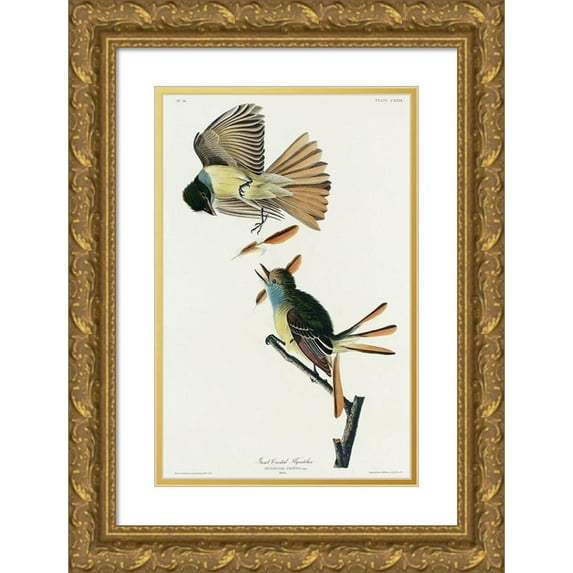 Audubon, John James 13x18 Gold Ornate Wood Framed with Double Matting Museum Art Print Titled - Great Crested Flycatcher