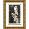 thumbnail image 1 of Audubon, John James 13x18 Gold Ornate Wood Framed with Double Matting Museum Art Print Titled - Snowy Owl, 1 of 4