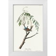 thumbnail image 1 of Audubon, John James 13x18 White Modern Wood Framed Museum Art Print Titled - Chipping Sparrow, 1 of 4