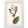thumbnail image 1 of Audubon, John James 13x18 White Modern Wood Framed Museum Art Print Titled - Pl. 183 American Golden-crested Wren, 1 of 4