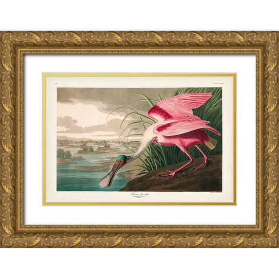 Audubon, John James 14x11 Gold Ornate Wood Framed with Double Matting Museum Art Print Titled - Pl 321 Roseate Spoonbill