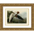 thumbnail image 1 of Audubon, John James 14x11 Gold Ornate Wood Framed with Double Matting Museum Art Print Titled - Purple Heron, 1 of 4