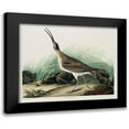 thumbnail image 1 of Audubon, John James 14x12 Black Modern Framed Museum Art Print Titled - Hudsonian Curlew, 1 of 5