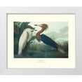 thumbnail image 1 of Audubon, John James 14x12 White Modern Wood Framed Museum Art Print Titled - Purple Heron (decorative border), 1 of 4