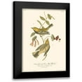 thumbnail image 1 of Audubon, John James 14x18 Black Modern Framed Museum Art Print Titled - Black-throated Green Wood Warbler, 1 of 5