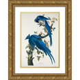 thumbnail image 1 of Audubon, John James 14x18 Gold Ornate Wood Framed with Double Matting Museum Art Print Titled - Columbia Jay, 1 of 4