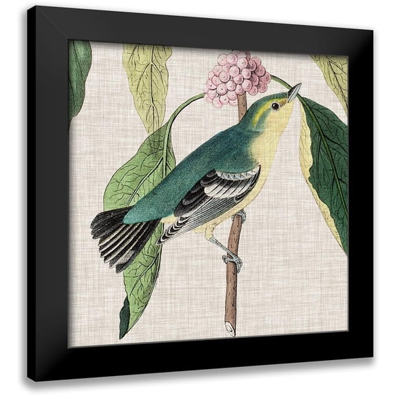 Audubon, John James 15x15 Black Modern Framed Museum Art Print Titled - Avian Crop IV