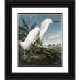 thumbnail image 1 of Audubon, John James 15x17 Black Ornate Wood Framed with Double Matting Museum Art Print Titled - Snowy Heron, 1 of 4