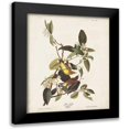 thumbnail image 1 of Audubon, John James 15x18 Black Modern Framed Museum Art Print Titled - Pl 163 Pine Warbler, 1 of 5