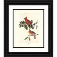 thumbnail image 1 of Audubon, John James 15x18 Black Ornate Wood Framed with Double Matting Museum Art Print Titled - Cardinal Grosbeak (decorative border), 1 of 4