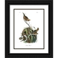 thumbnail image 1 of Audubon, John James 15x18 Black Ornate Wood Framed with Double Matting Museum Art Print Titled - Marsh Wren, 1 of 4