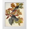 thumbnail image 1 of Audubon, John James 15x18 White Modern Wood Framed Museum Art Print Titled - Canada Jay, 1 of 4
