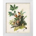 thumbnail image 1 of Audubon, John James 15x18 White Modern Wood Framed Museum Art Print Titled - Pl 131 American Robin, 1 of 4