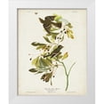 thumbnail image 1 of Audubon, John James 15x18 White Modern Wood Framed Museum Art Print Titled - Pl 144 Small Green-crested Flycatcher, 1 of 4