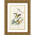 thumbnail image 1 of Audubon, John James 16x24 Gold Ornate Wood Framed with Double Matting Museum Art Print Titled - Prothonotary Warbler, 1 of 4
